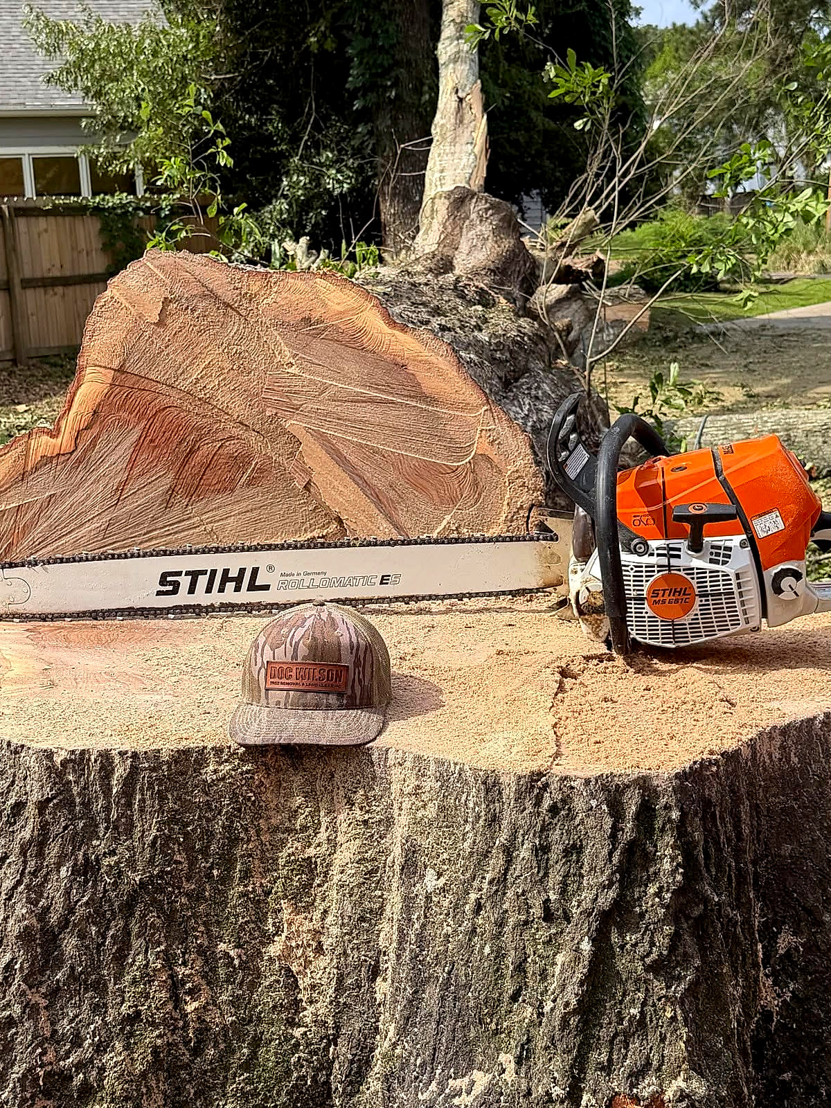 A STIHL chainsaw resting on a freshly cut stump beside the log it came off