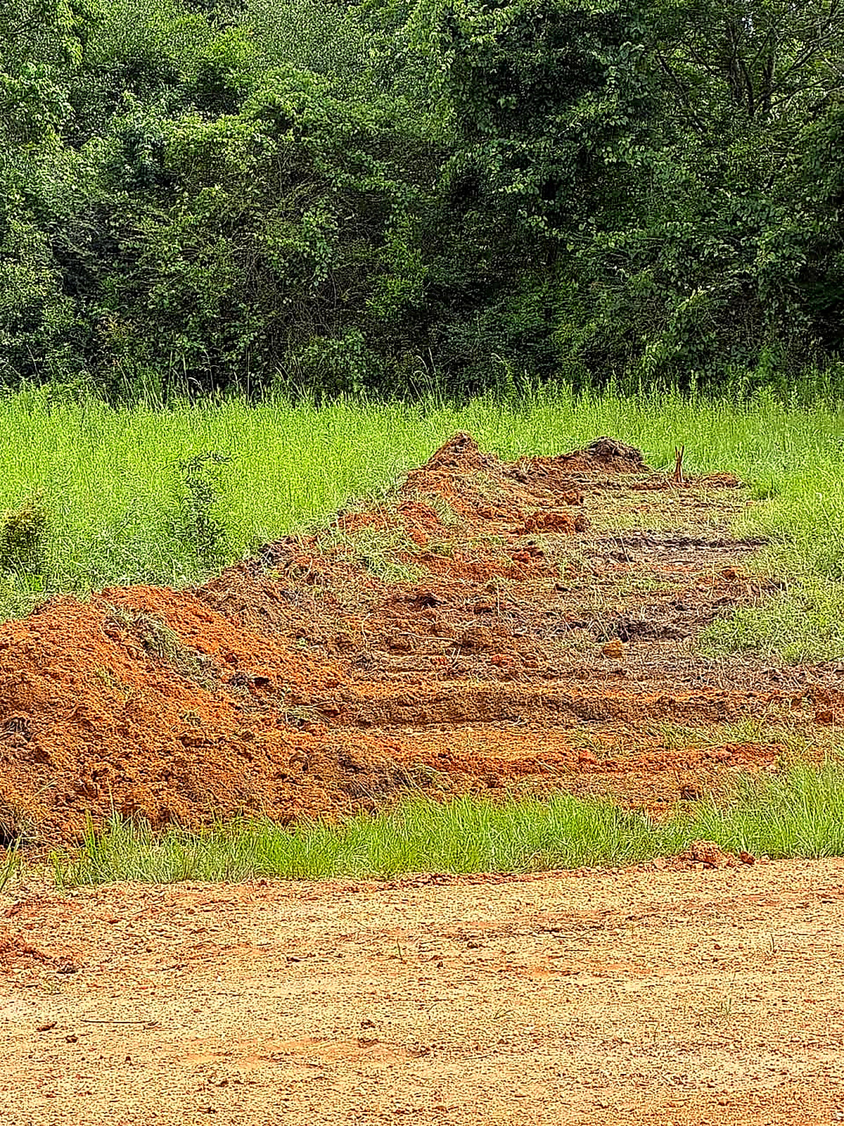 Fresh dirt work with a windrow of clay along the edge of a green field