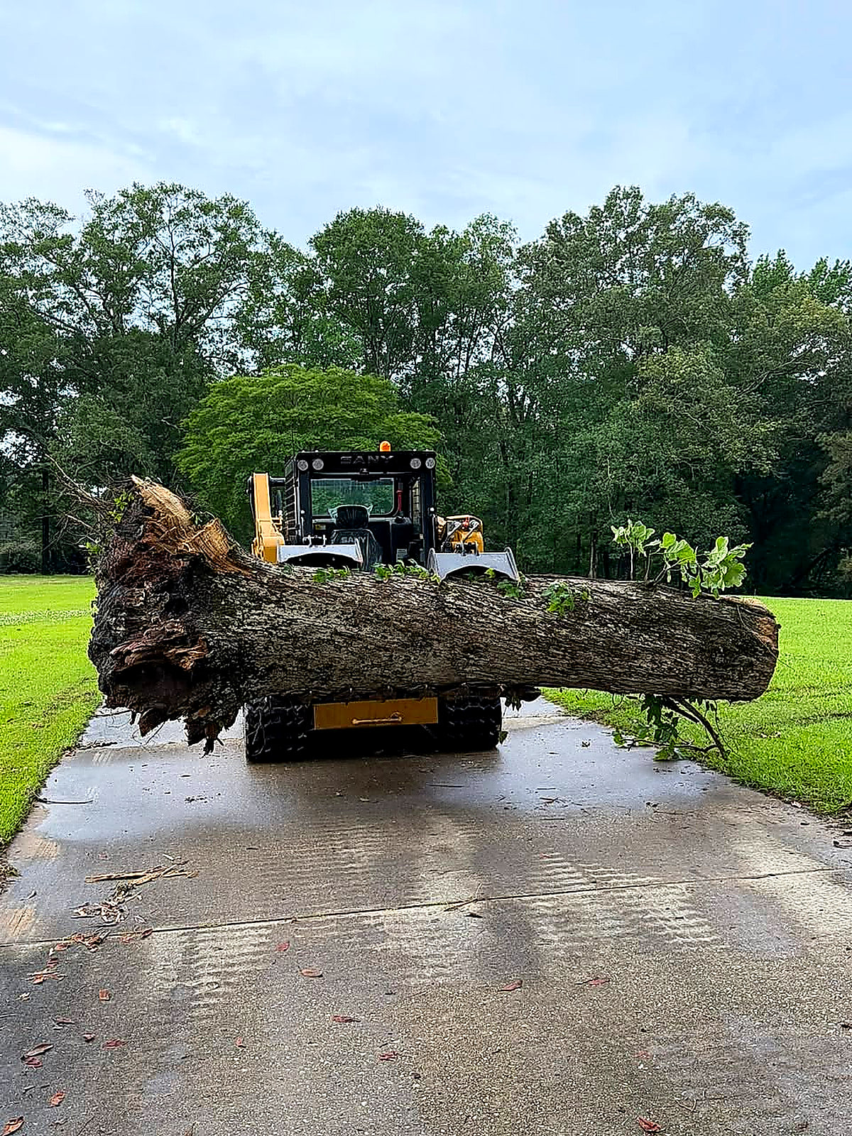 Track loader carrying a large log down a wet concrete driveway