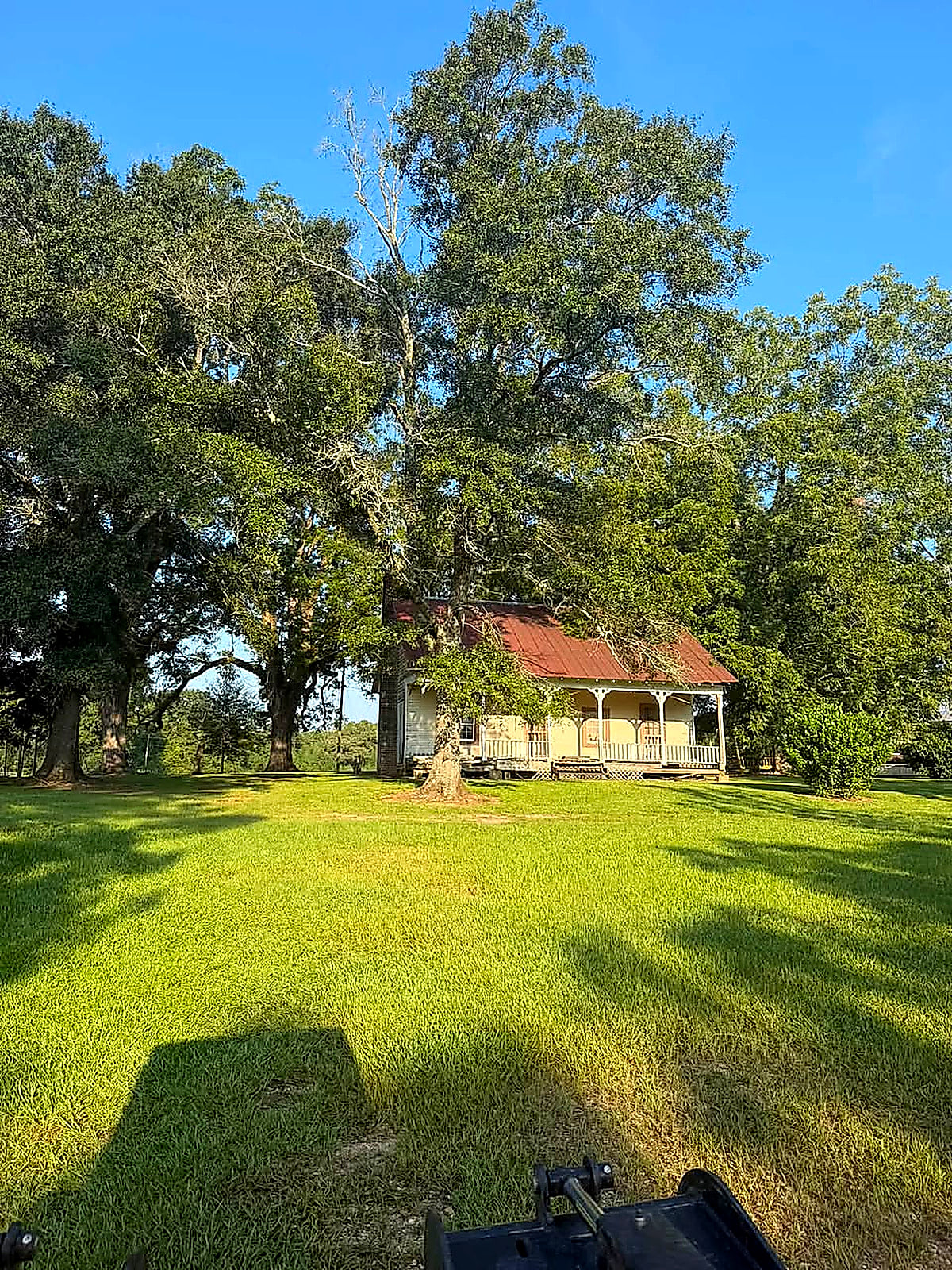 The same house with the oak gone and open sunlit lawn in front of it