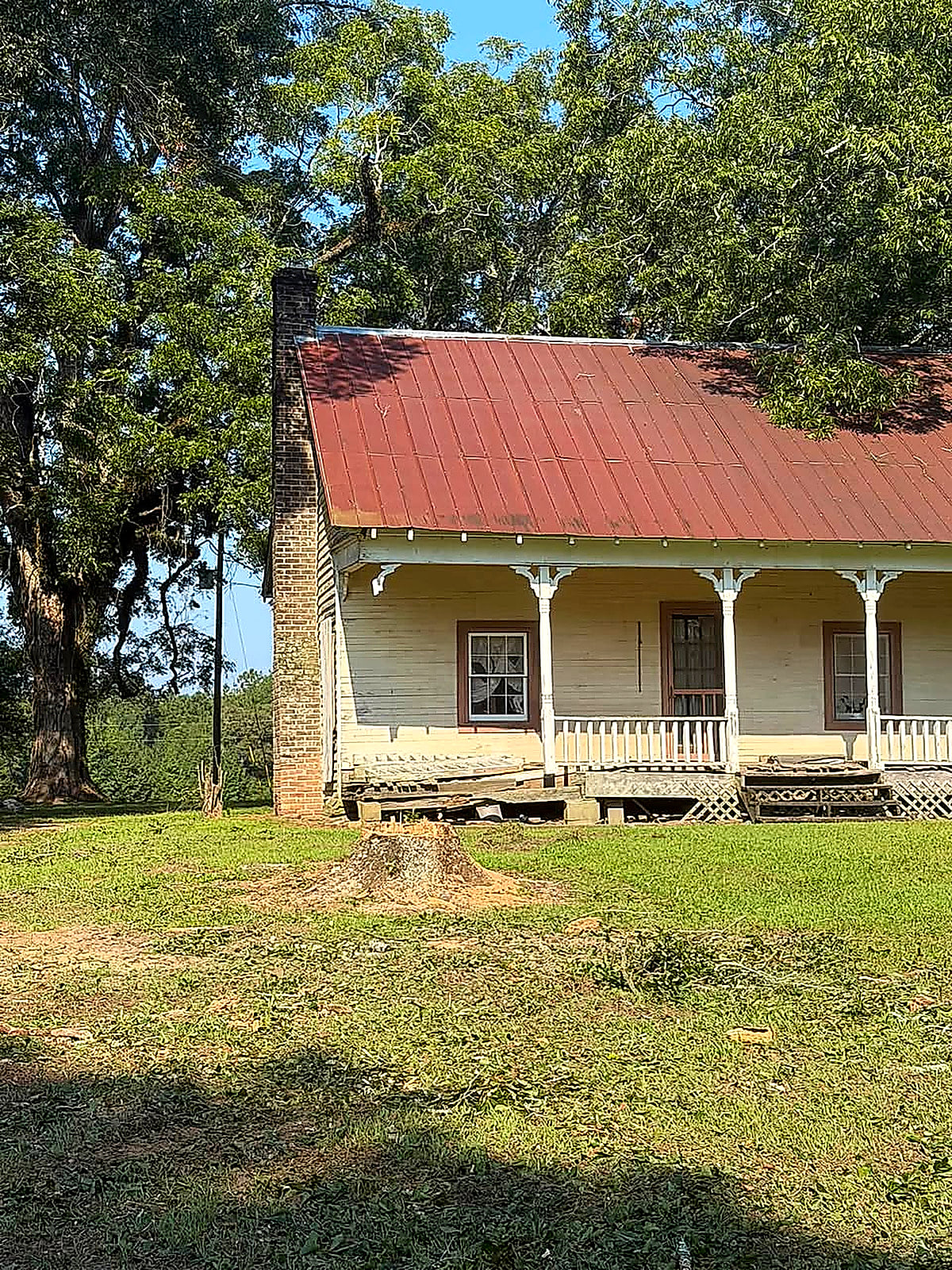 An old tin-roofed house crowded by a big half-dead oak leaning toward it