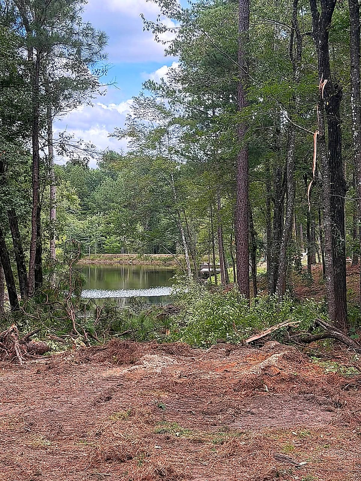 The same spot opened up with the pond now visible from the road