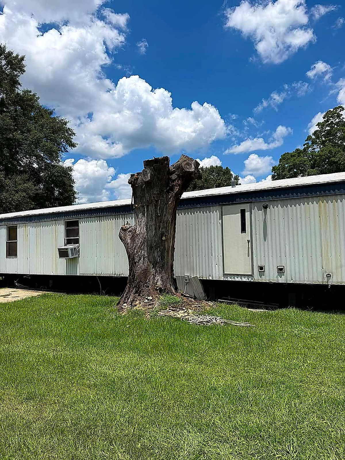 A big cut stump standing hard against the side wall of a white mobile home